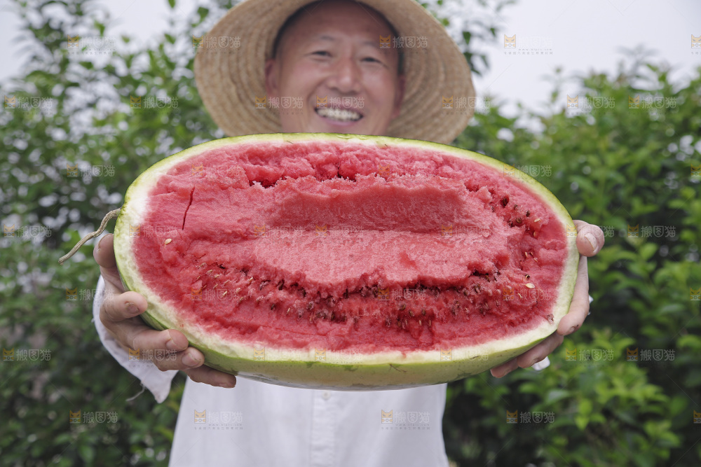 石头瓜