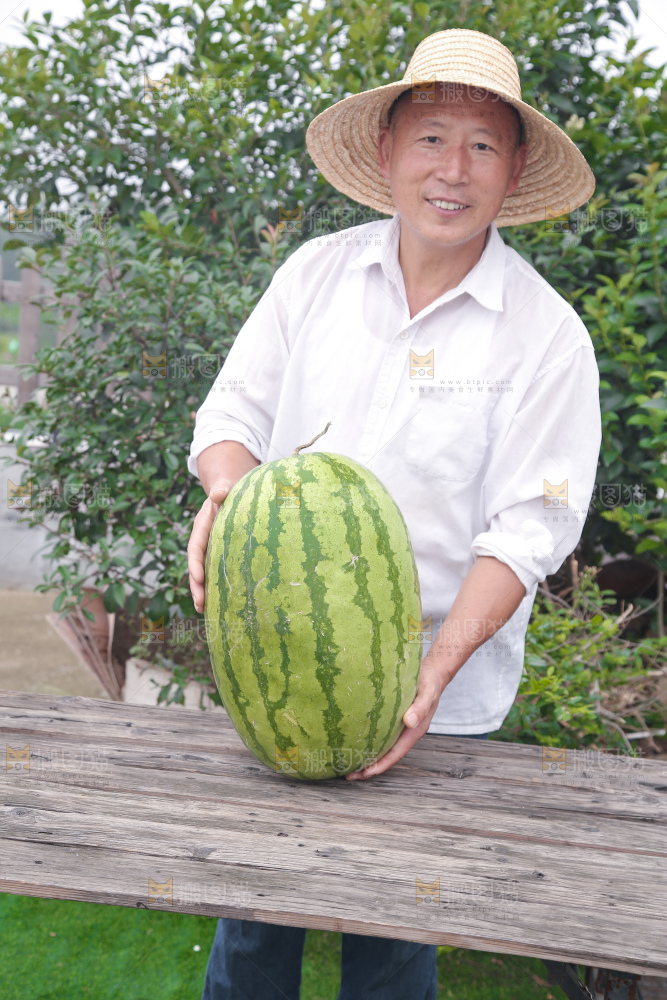 石头瓜