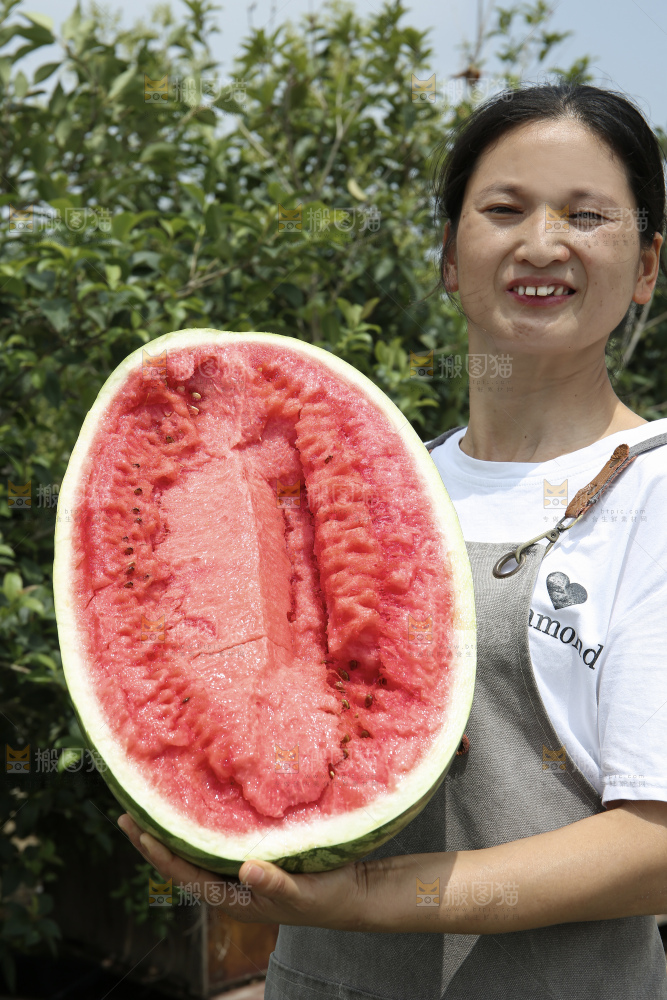 石头瓜