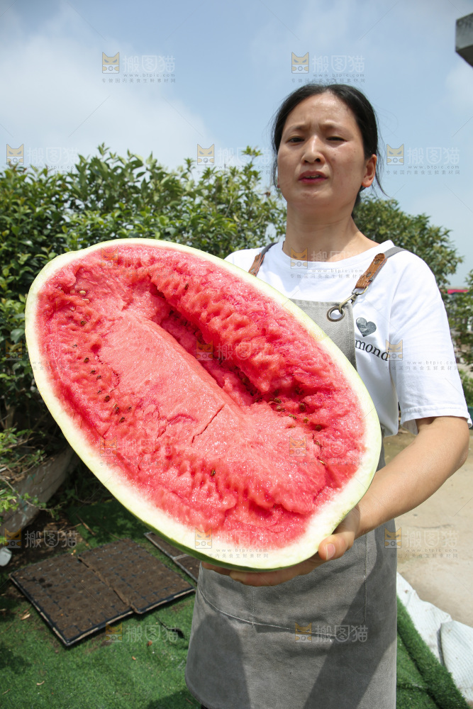 石头瓜