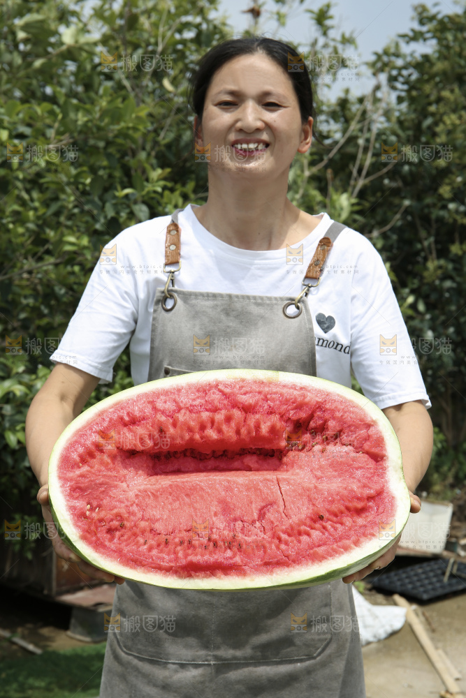 石头瓜