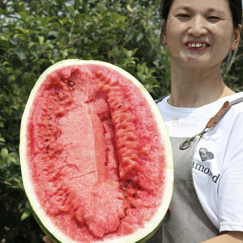 石头瓜