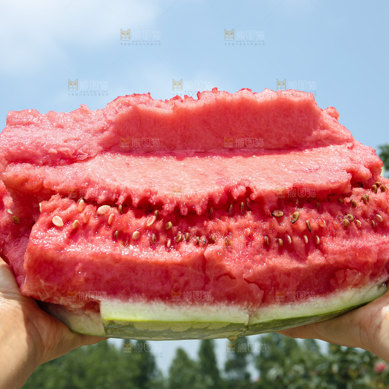 石头瓜