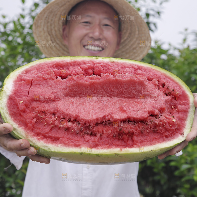 石头瓜