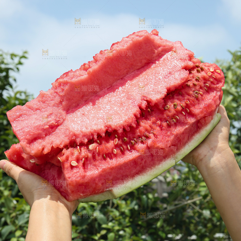 石头瓜