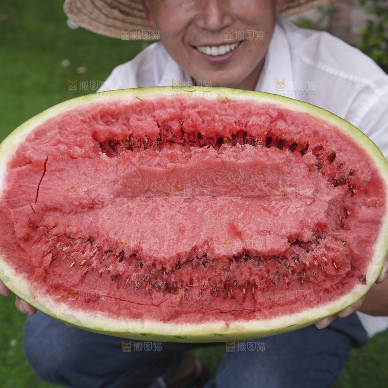 石头瓜