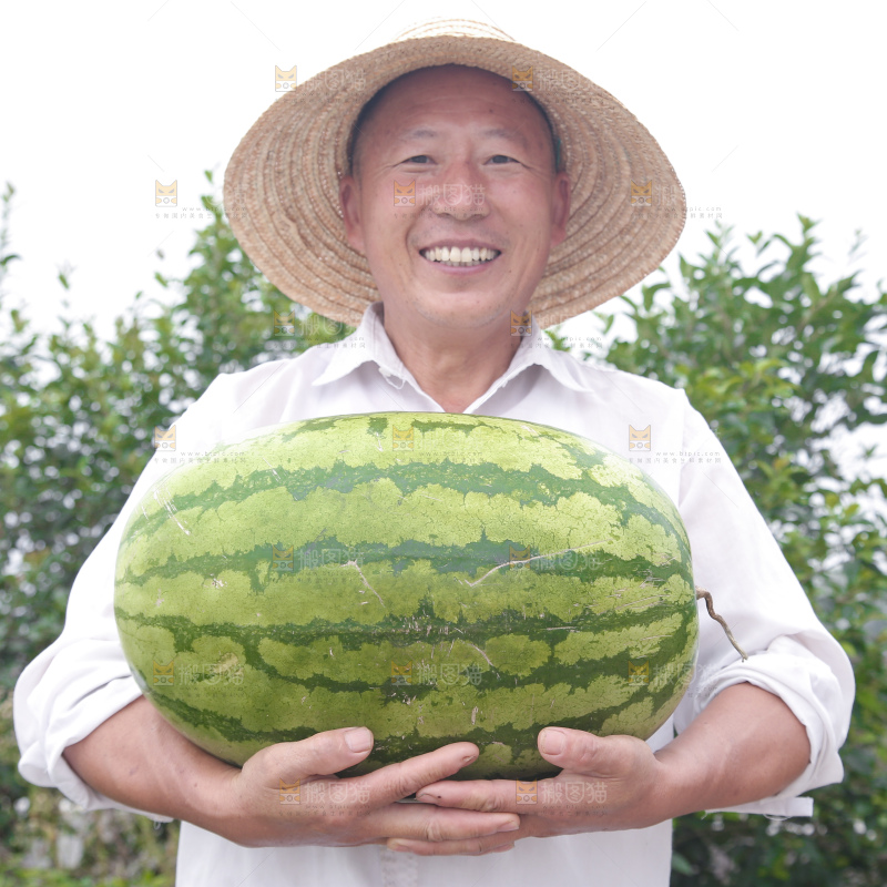 石头瓜