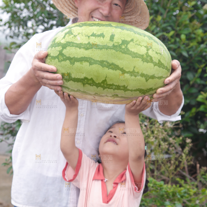 石头瓜