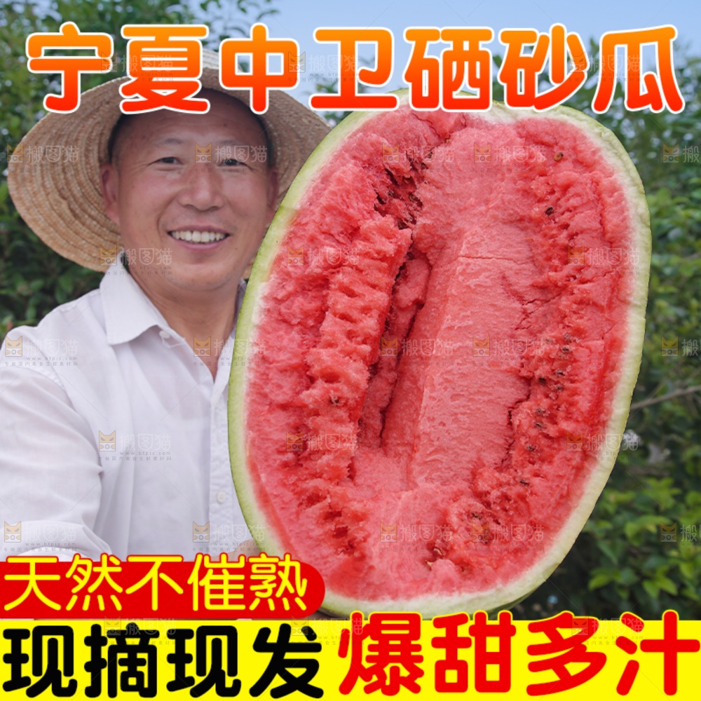 石头瓜主图