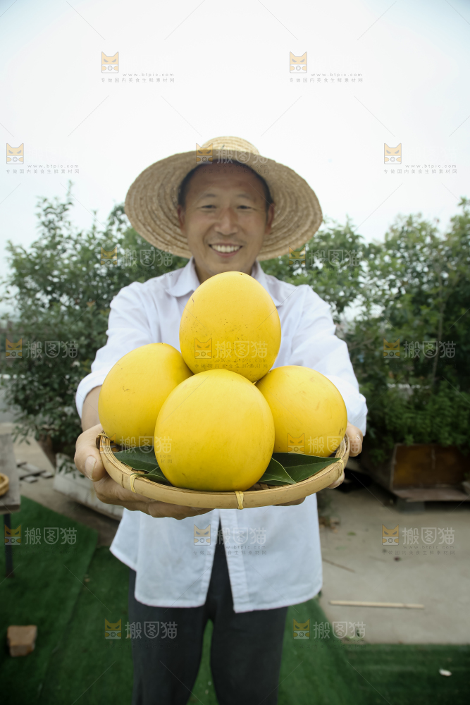 黄晶果