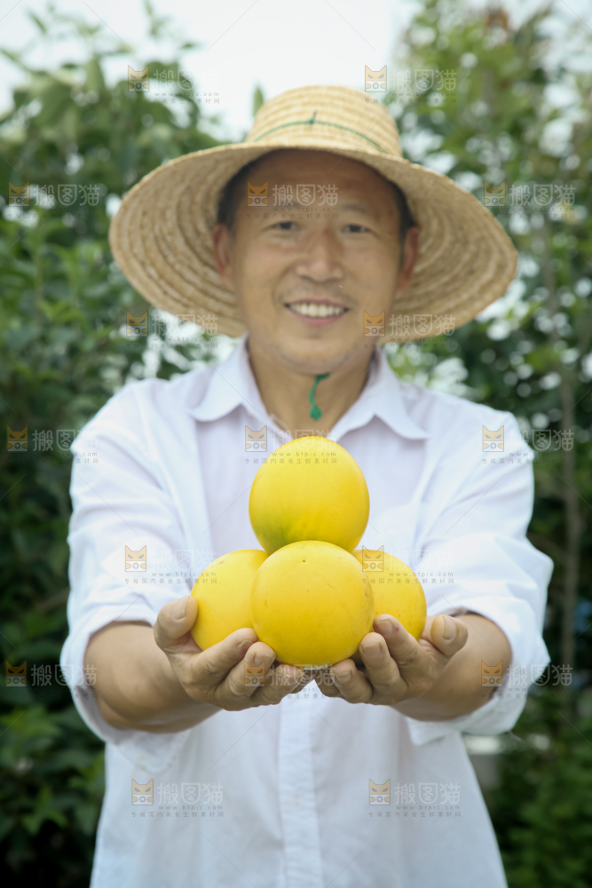 黄晶果