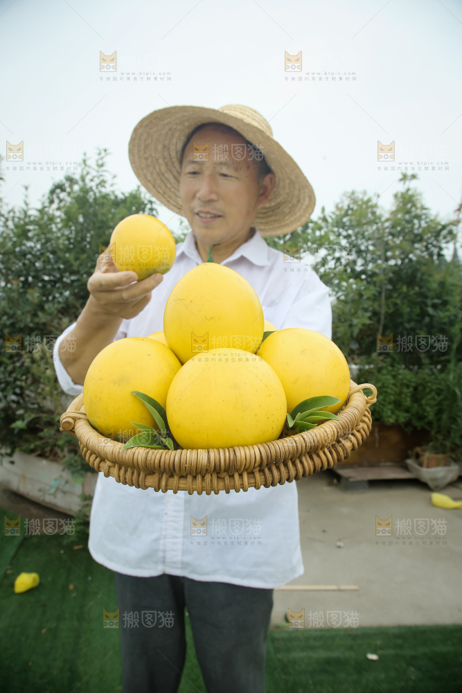 黄晶果