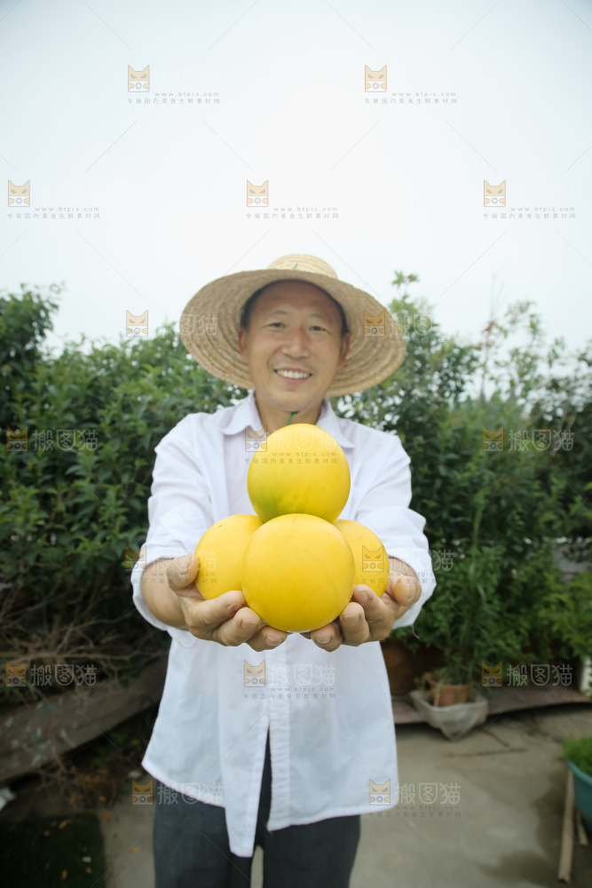 黄晶果