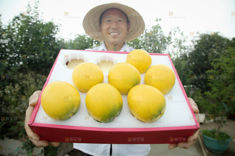 黄晶果