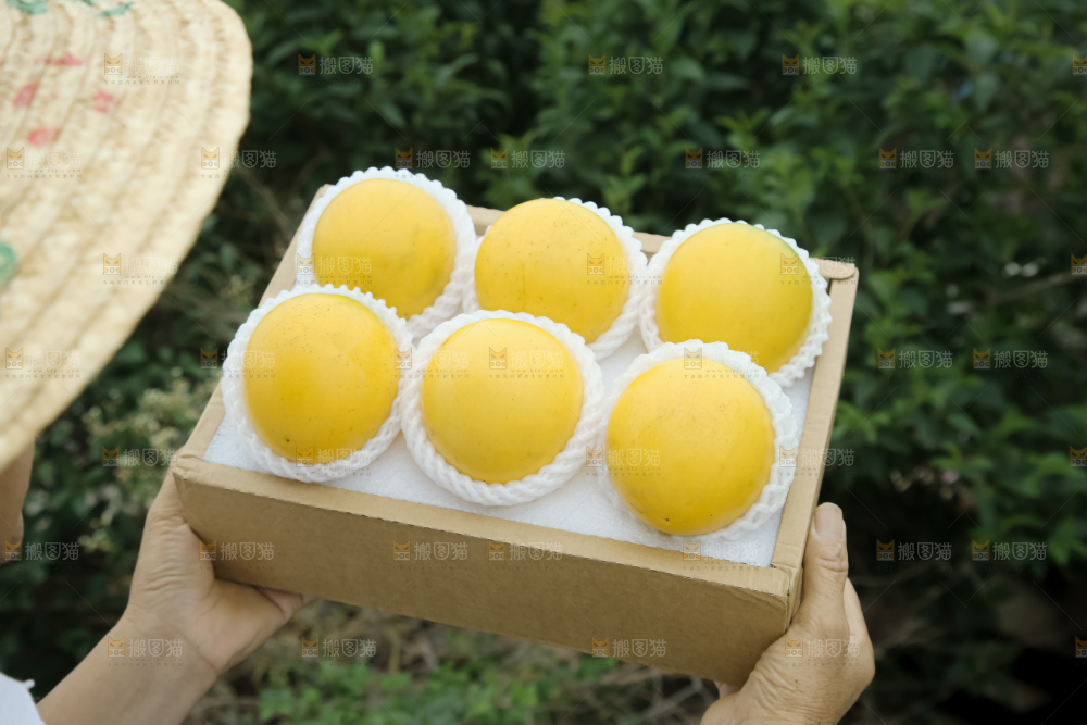 黄晶果