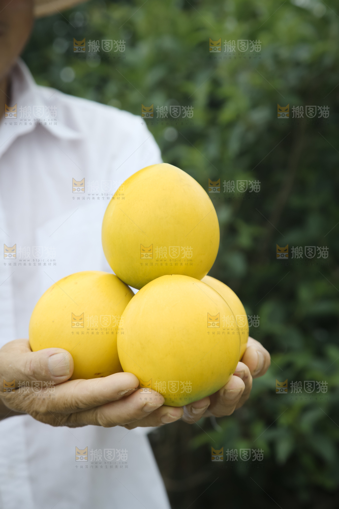 黄晶果