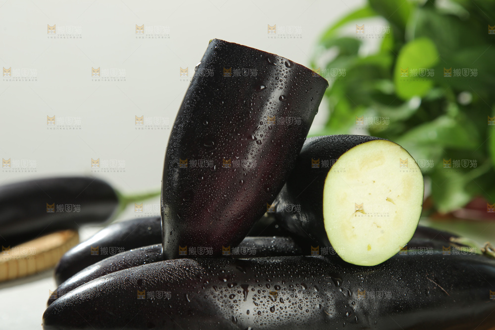 紫茄子