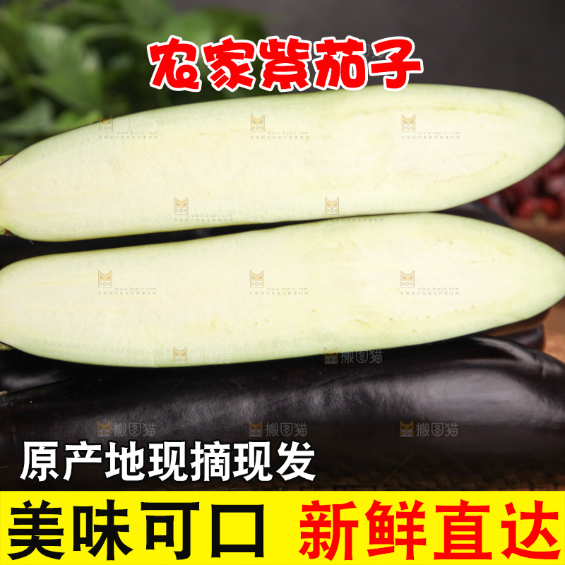紫茄子