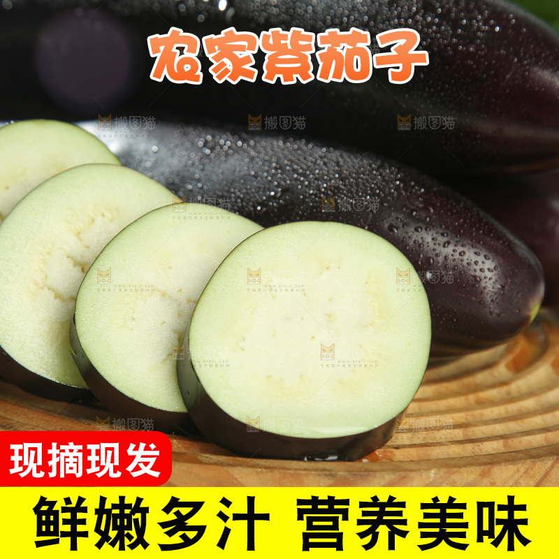 紫茄子