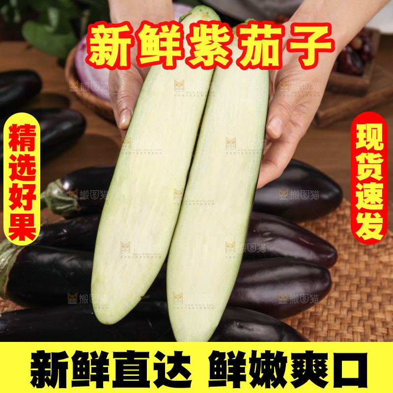 紫茄子