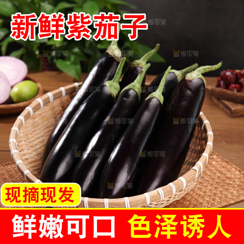 紫茄子