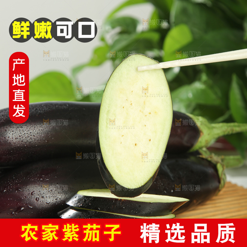 紫茄子