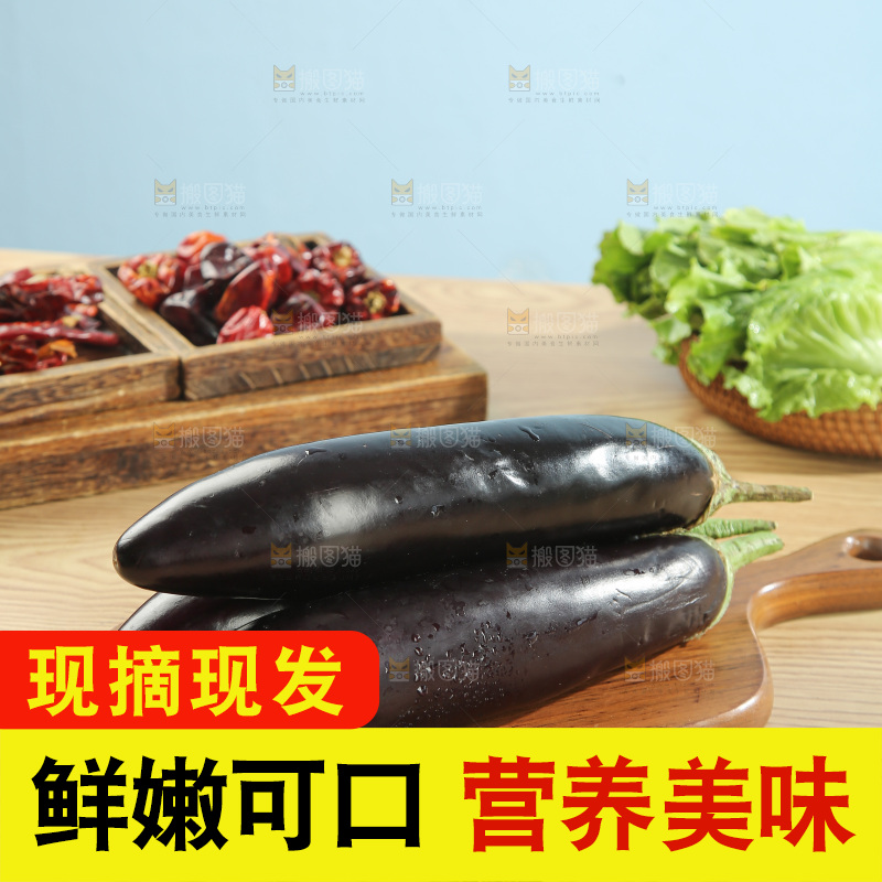 紫茄子