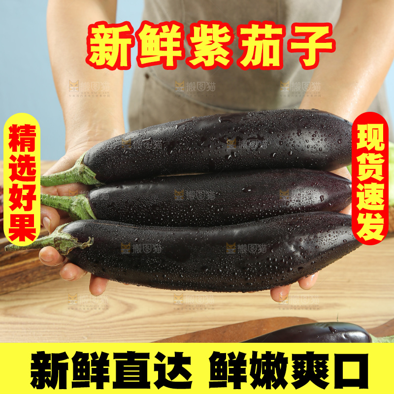 紫茄子