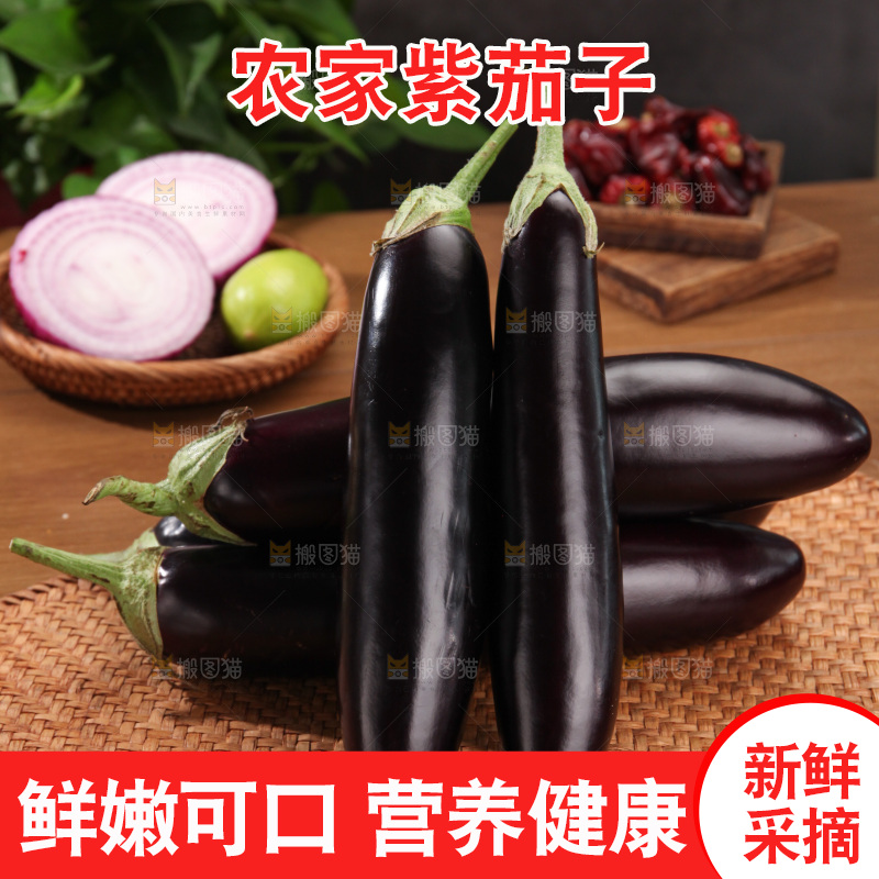 紫茄子