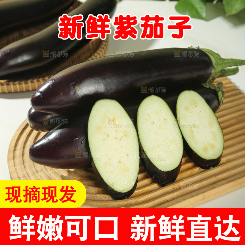 紫茄子