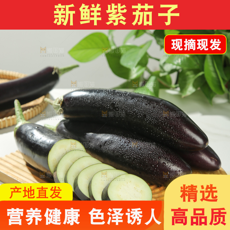 紫茄子