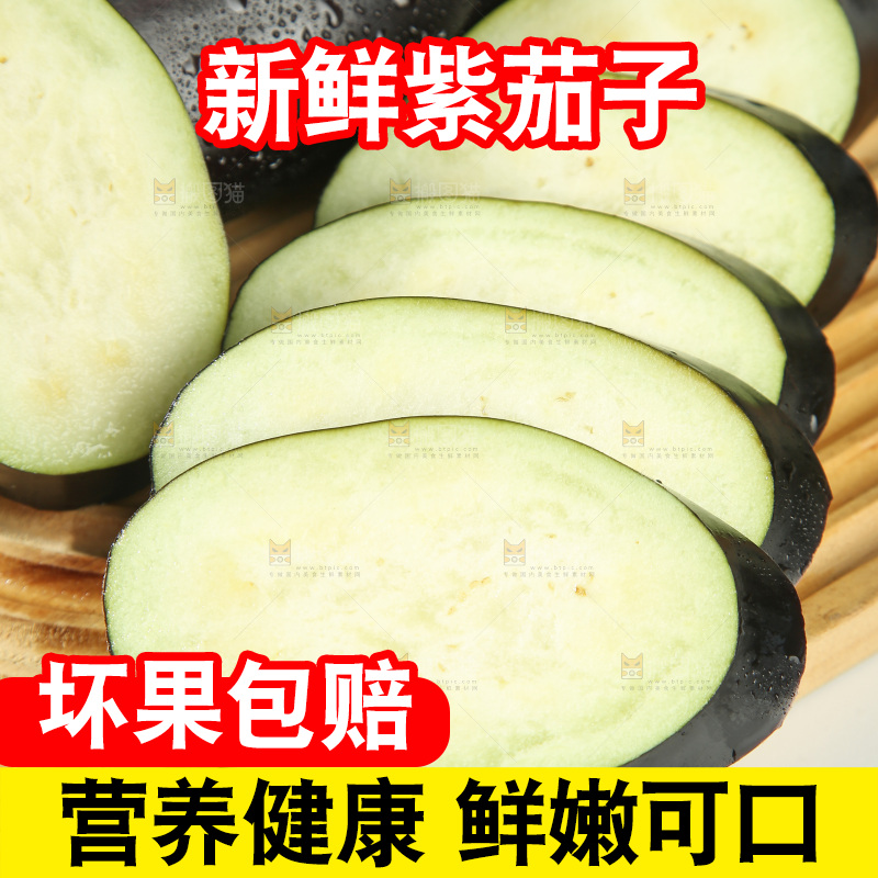 紫茄子
