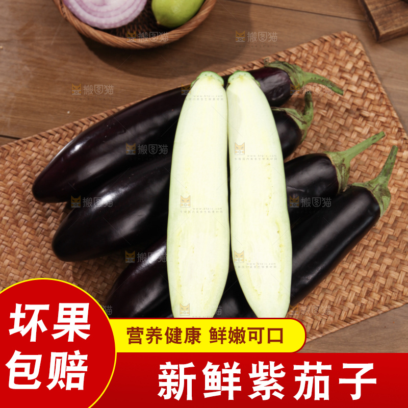 紫茄子