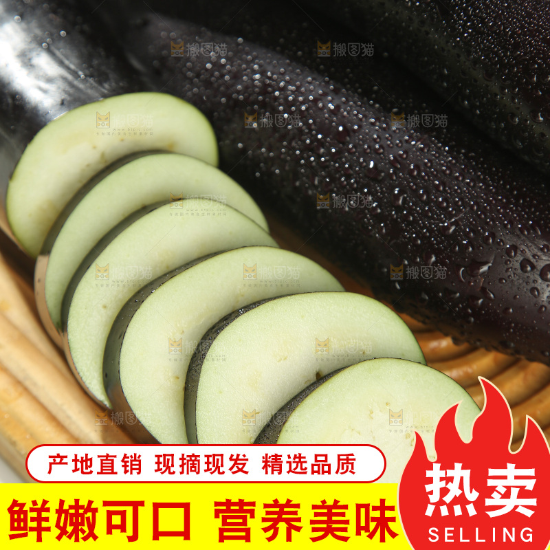 紫茄子
