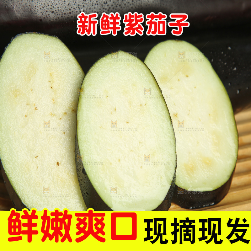 紫茄子