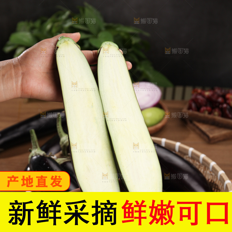 紫茄子