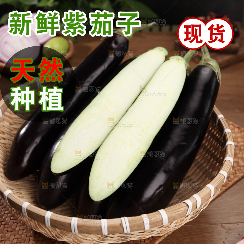 紫茄子