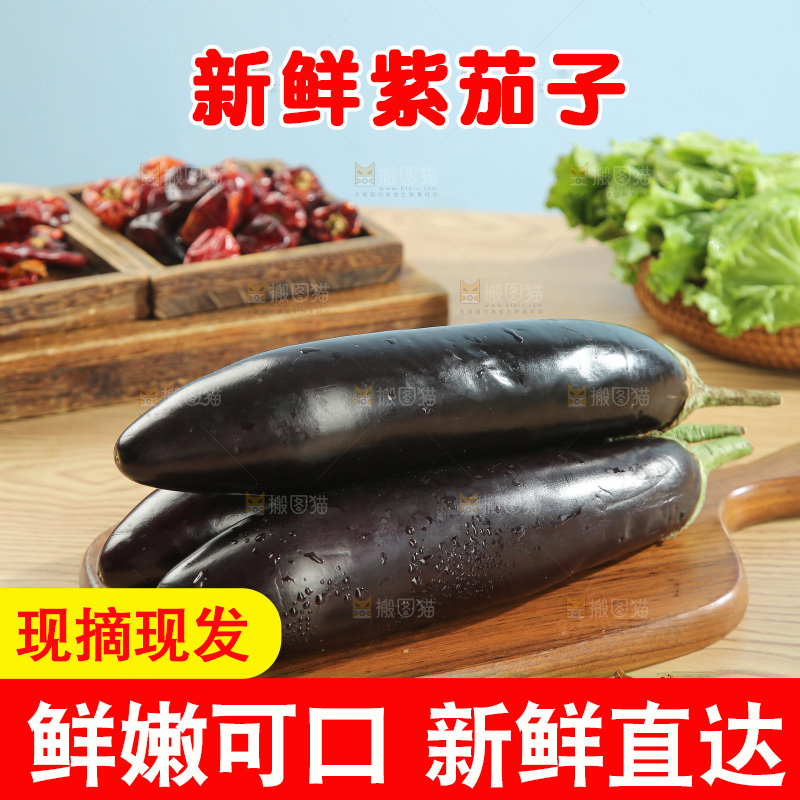 紫茄子
