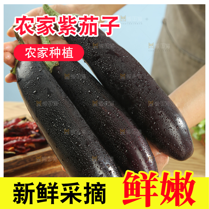 紫茄子
