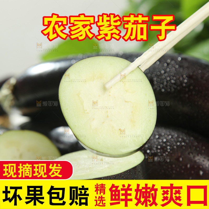 紫茄子