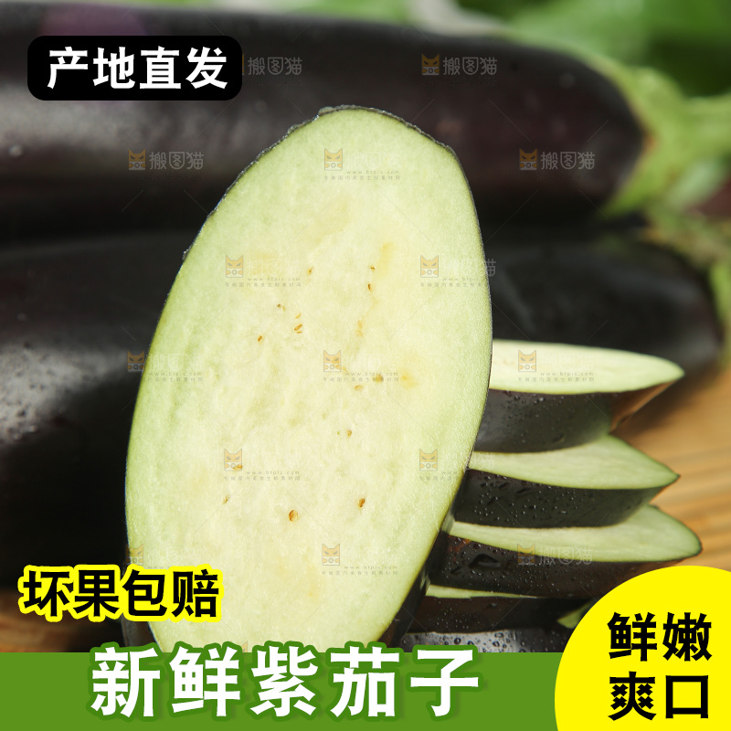 紫茄子