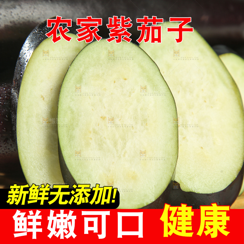 紫茄子