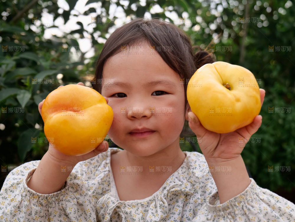 黄油蟠桃