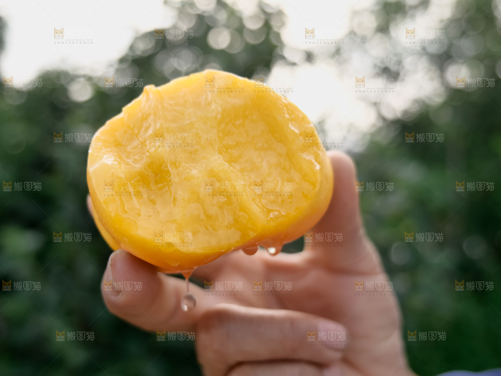 黄油蟠桃