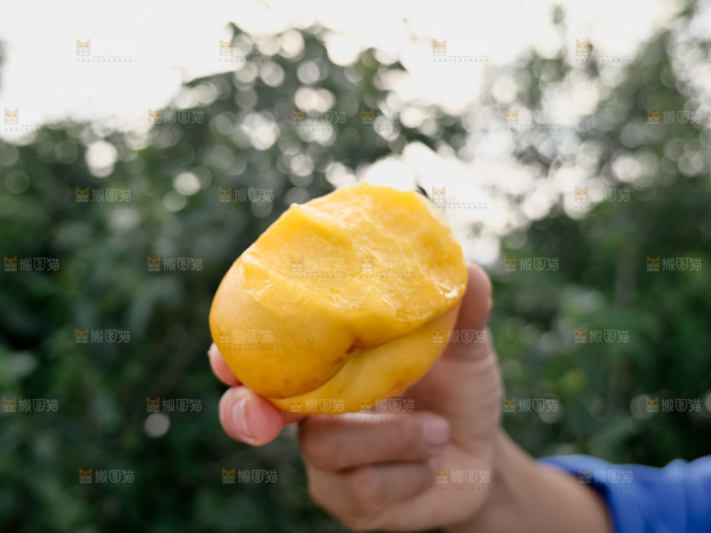 黄油蟠桃