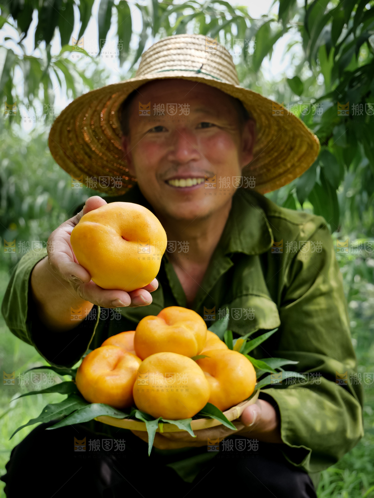 黄油蟠桃
