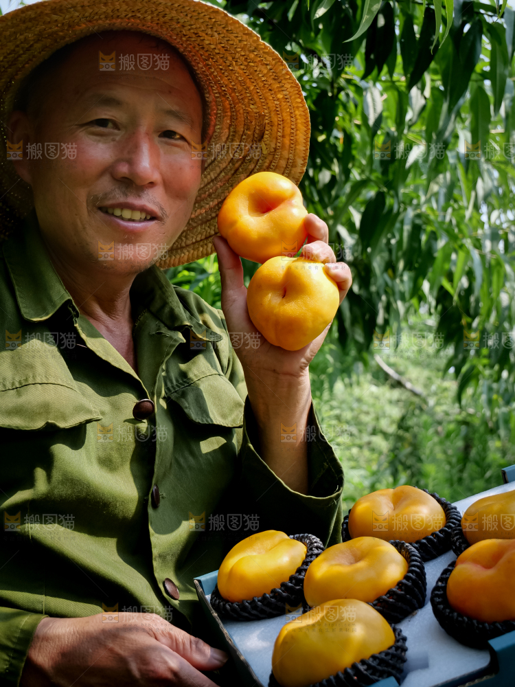 黄油蟠桃