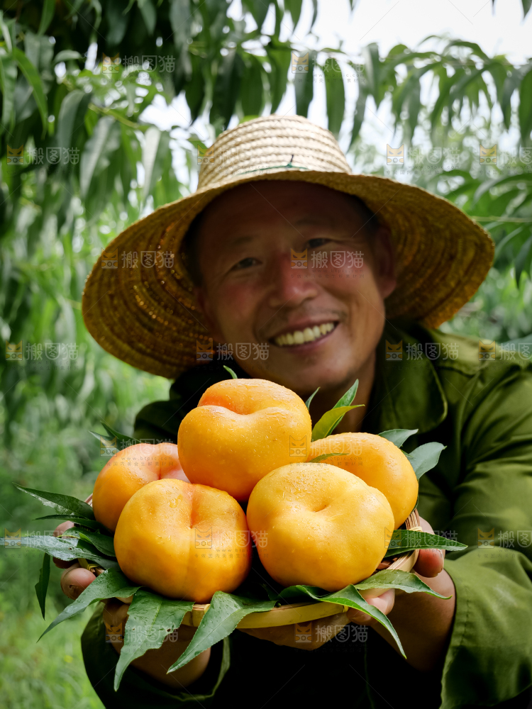 黄油蟠桃