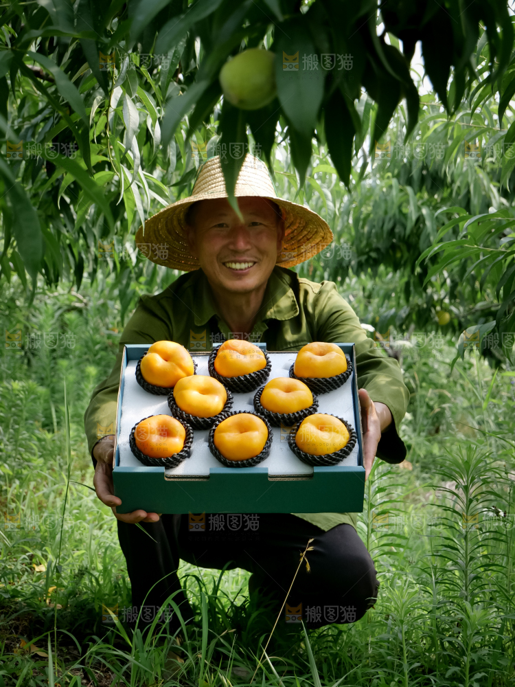 黄油蟠桃
