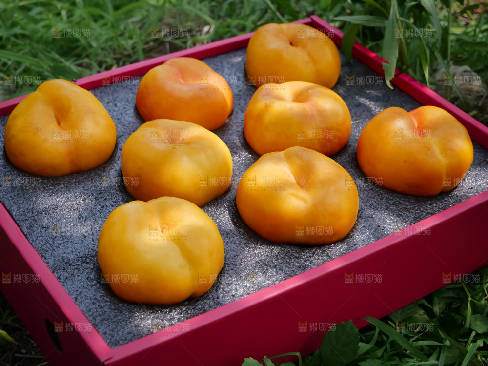 黄油蟠桃